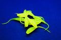 Chartreuse Crappie Minis 10pk