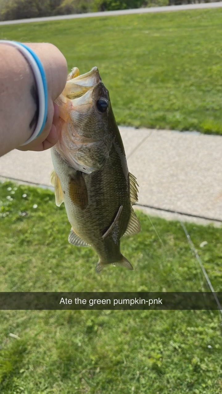 Green pumpkin 5”  Stick bait 4pk